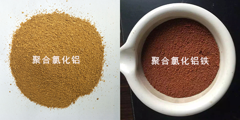 �ۺ��Ȼ��X�c�ۺ��Ȼ��X�F�ǂ������ã�